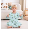 image:imageSWOMOG Girls Pajama Set Short Sleeve Tops amp Ruffled Shorts with Pocket 2 Piece Summer Pajamas for Kids Size 615Green Grey Dinosaurs