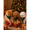 image:imageSWOMOG Family Christmas Pajamas Set Party Holiday Sleepwear Long Sleeve ButtonDown Loungewear SetGreen