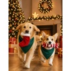image:imageSWOMOG Family Christmas Pajamas Set Party Holiday Sleepwear Long Sleeve ButtonDown Loungewear SetGreen