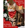 image:imageSWOMOG Family Matching Pajamas Set Silk Satin Button Down Sleepwear Long Sleeve Nightwear 2 Pcs Pj Set Pet Red Small