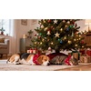 image:imageSWOMOG Family Matching Pajamas Silk Satin Long Sleeve Sleepwear Soft Button Down Loungewear 2 Pcs Pj SetRed Candy Cane