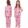 image:imageSWOMOG Kids Satin Pajamas Sets Girls Boys ButtonDown Pjs Short Sleeve Silk Nightwear 2 Piece Lounge SetsLong Sleevepink Stripes