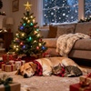 image:imageSWOMOG Matching Family Pajamas Christmas Pjs Long Sleeve Holiday Sleepwear Soft LoungewearRed Black Plaid