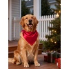 image:imageSWOMOG Family Matching Pajama Set 2Pcs Silk Satin Sleepwear Long Sleeve Button Down LoungewearRed