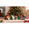 image:imageSWOMOG Adult Christmas Pajamas Buffalo Plaid Pajama Pants with Pockets Long Sleeve Tops for Couples amp FamilyBlack  Green Plaid