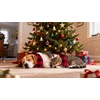 image:imageSWOMOG Adult Christmas Pajamas Buffalo Plaid Pajama Pants with Pockets Long Sleeve Tops for Couples amp FamilyBlack  Red Plaid