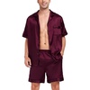 Dark Wine Red