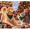 image:imageSWOMOG Family Christmas Pajamas Set Long Sleeve Button Down Sleepwear Festival Party Xmas Holiday Pjs SetGreen