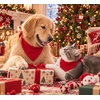 image:imageSWOMOG Family Christmas Pajamas Set Long Sleeve Button Down Sleepwear Festival Party Xmas Holiday Pjs SetRed