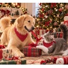 image:imageSWOMOG Family Christmas Pajamas Set Long Sleeve Button Down Sleepwear Festival Party Xmas Holiday Pjs SetRed Stripes