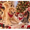 image:imageSWOMOG Family Christmas Pajamas Set Long Sleeve Button Down Sleepwear Festival Party Xmas Holiday Pjs SetRed Stripes