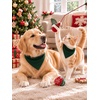 image:imageSWOMOG Family Matching Pajamas Set Button Down Sleepwear Long Sleeve Nightwear Christmas PJS Holiday PajamasGreen