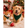 image:imageSWOMOG Family Matching Pajamas Set Button Down Sleepwear Long Sleeve Nightwear Christmas PJS Holiday PajamasGreen