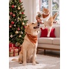 image:imageSWOMOG Family Silky Satin Pajama Set Long Sleeve Pj Set Button Dwon Loungewear 2 PCS Sleepwear Set4 Burnt Orange