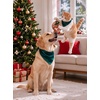 image:imageSWOMOG Family Silky Satin Pajama Set Long Sleeve Pj Set Button Dwon Loungewear 2 PCS Sleepwear SetDeep Green