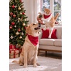 image:imageSWOMOG Family Silky Satin Pajama Set Long Sleeve Pj Set Button Dwon Loungewear 2 PCS Sleepwear SetRed