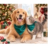 image:imageSWOMOG Matching Family Christmas Pajamas Set Silk Satin Button Down Sleepwear Festival Party Pj SetDark Green