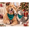 image:imageSWOMOG Matching Family Christmas Pajamas Set Silk Satin Button Down Sleepwear Festival Party Pj SetDark Green