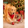 image:imageSWOMOG Matching Family Christmas Pajamas Set Modal Long Sleeve ButtonDown Sleepwear Family Festival Party Xmas PJs SetsRed