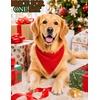 image:imageSWOMOG Matching Family Christmas Pajamas Set Modal Long Sleeve ButtonDown Sleepwear Family Festival Party Xmas PJs SetsRed