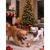 image:imageSWOMOG Christmas Couples Pajamas Sets Matching Women amp Men Long Sleeve Sleepwear Pjs Set Soft 2 Pcs LoungewearBlack Christmas Tree