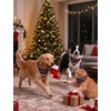 image:imageSWOMOG Christmas Couples Pajamas Sets Matching Women amp Men Long Sleeve Sleepwear Pjs Set Soft 2 Pcs LoungewearBlack Christmas Tree