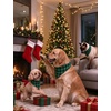 image:imageSWOMOG Christmas Couples Pajamas Sets Matching Women amp Men Long Sleeve Sleepwear Pjs Set Soft 2 Pcs LoungewearGreen Plaid Christmas Elk