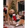 image:imageSWOMOG Christmas Couples Pajamas Sets Matching Women amp Men Long Sleeve Sleepwear Pjs Set Soft 2 Pcs LoungewearGreen Plaid Christmas Elk