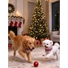 image:imageSWOMOG Christmas Couples Pajamas Sets Matching Women amp Men Long Sleeve Sleepwear Pjs Set Soft 2 Pcs LoungewearWhite Red Christmas