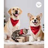 image:imageSWOMOG Family Matching Pajama Set Silky Satin Pajamas Long Sleeve Sleepwear Button Down Loungewear 2 Pcs Pj SetRed 120Age for 67Y